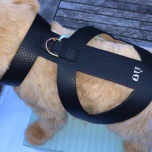 Moshiqa Black Luca Pet Harness